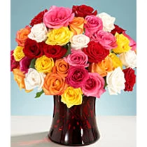 One Dozen Long Stemmed Yellow Roses