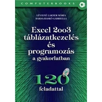 Excel 2003 táblázatkezelés és programozás a gyakorlatban - 120 feladattal, CD-vel