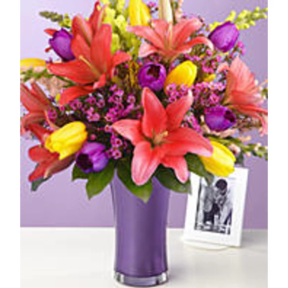 30 Multi-Colored Tulips