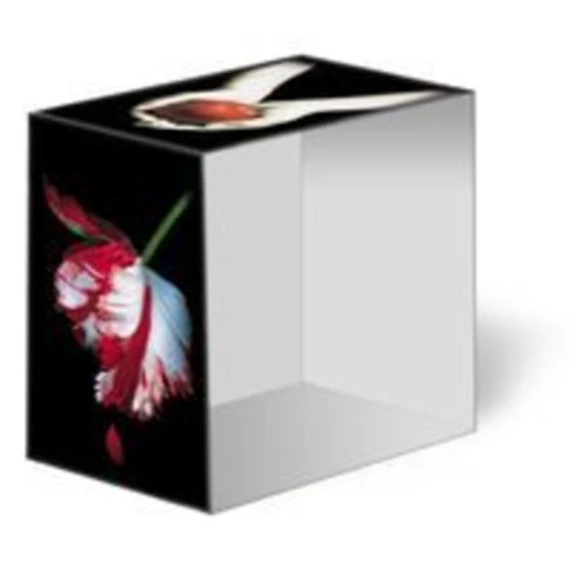 Twilight-saga díszdobozban